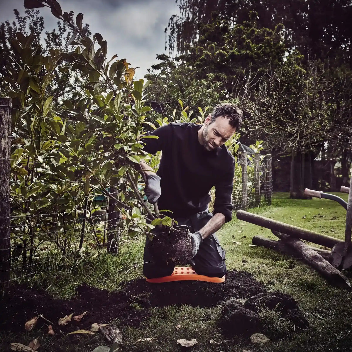 Fento BOARD Kniebeschermers