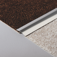Ambientebild Übergangsprofil Aluminium zwischen zwei Teppichen